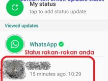 whatsapp skrin status